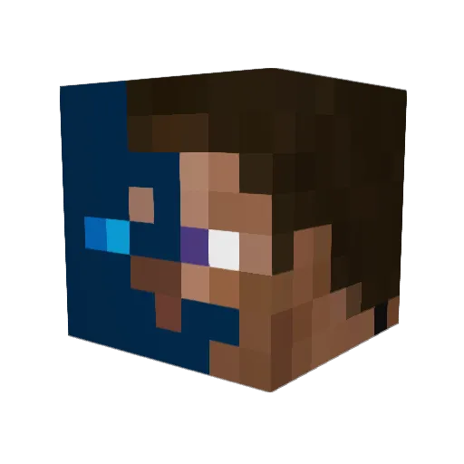 DaBestNoob9441 Minecraft avatar head, 3D render