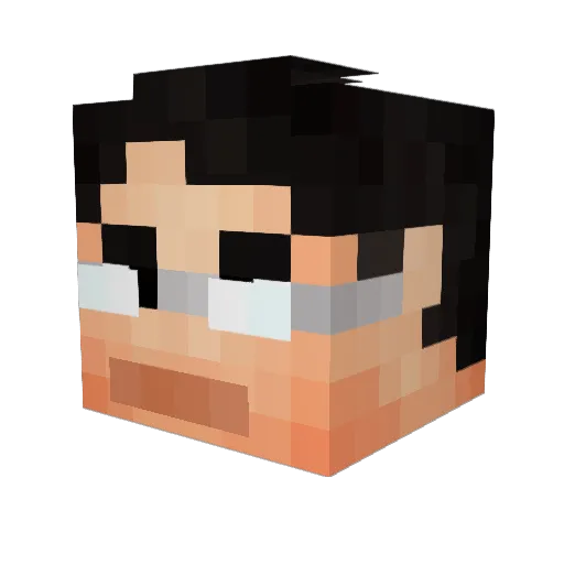 DaBird54 Minecraft avatar head, 3D render