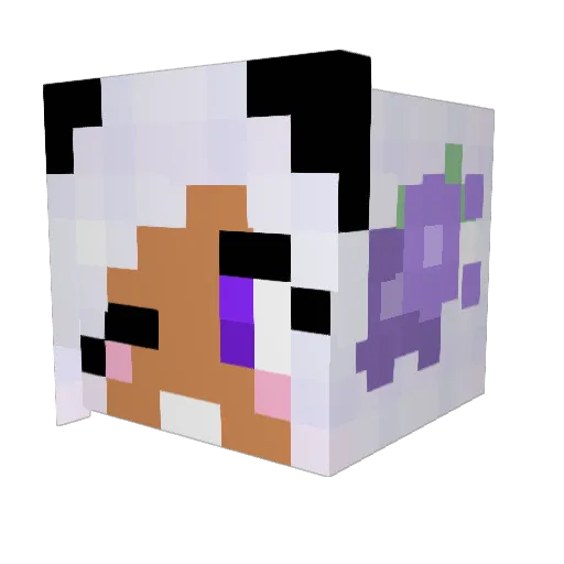 DaBubbleCat Minecraft avatar head, 3D render
