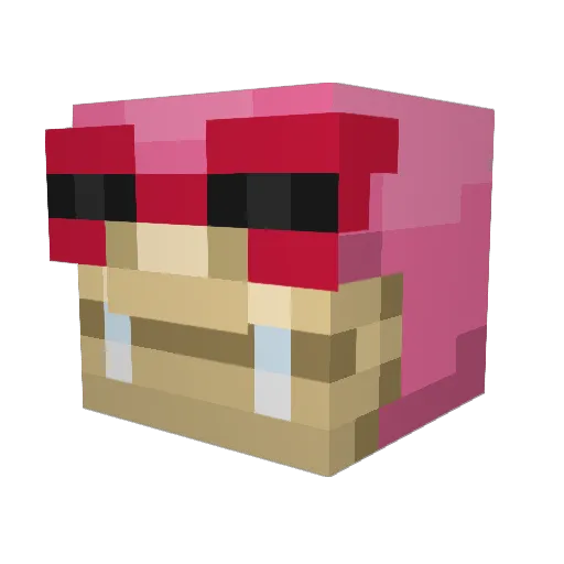 DaChaz401 Minecraft avatar head, 3D render