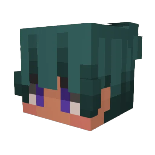 DaCrazyNub Minecraft avatar head, 3D render