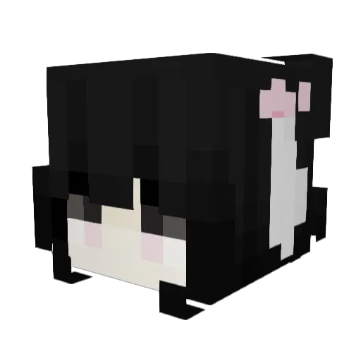 DaDaDaDamn Minecraft avatar head, 3D render