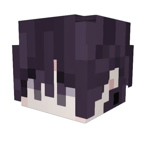 DaDaZi Minecraft avatar head, 3D render