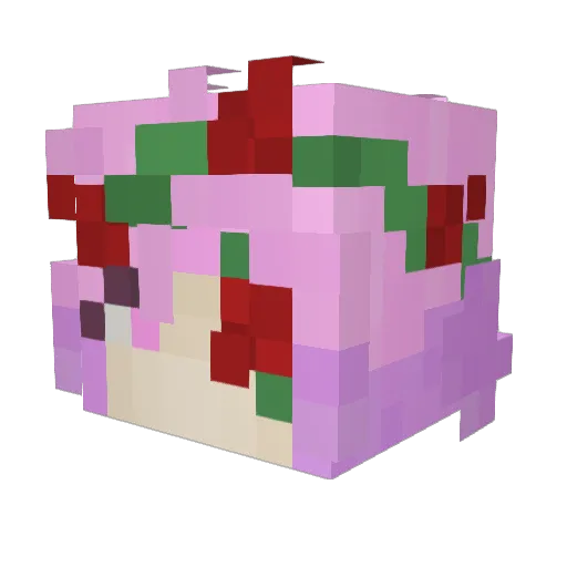 DaDiTi Minecraft avatar head, 3D render