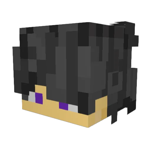 DaDooDaThe Minecraft avatar head, 3D render