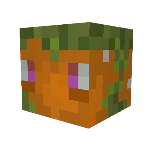 DaFer61 Minecraft avatar head, 3D render