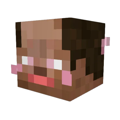 DaFireIsOn Minecraft avatar head, 3D render