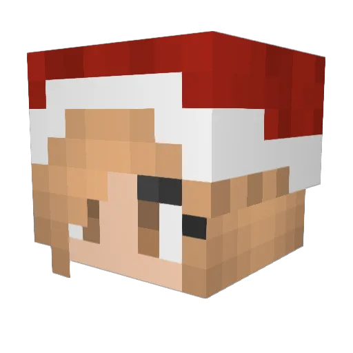 DaFlowzz Minecraft avatar head, 3D render