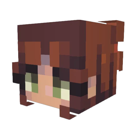 DaFluffyBee Minecraft avatar head, 3D render