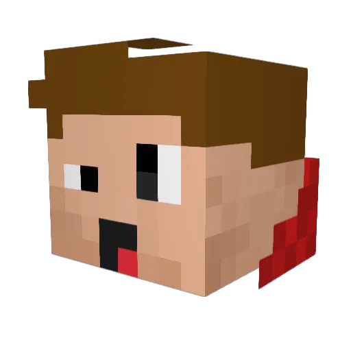 DaGamer009877 Minecraft avatar head, 3D render