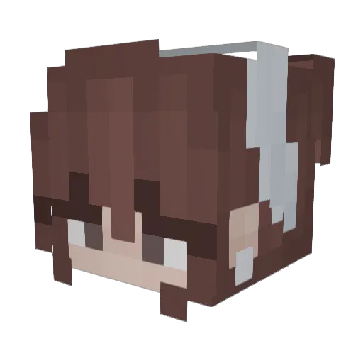 DaGay Minecraft avatar head, 3D render