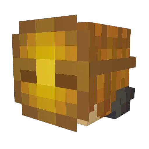 DaGoldenTurtle Minecraft avatar head, 3D render