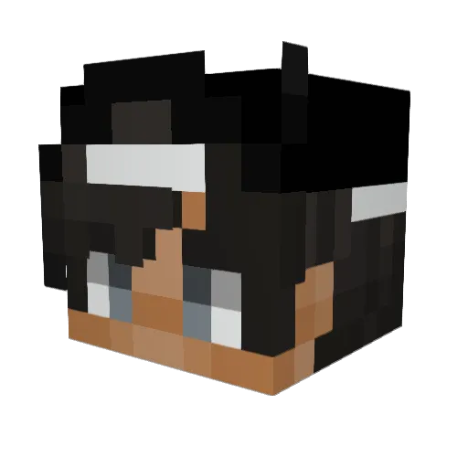 DaGrazyBeast Minecraft avatar head, 3D render