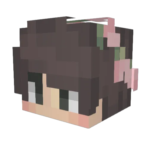 DaJaVuEz Minecraft avatar head, 3D render