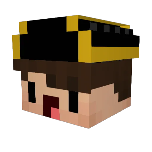 DaKo23112 Minecraft avatar head, 3D render