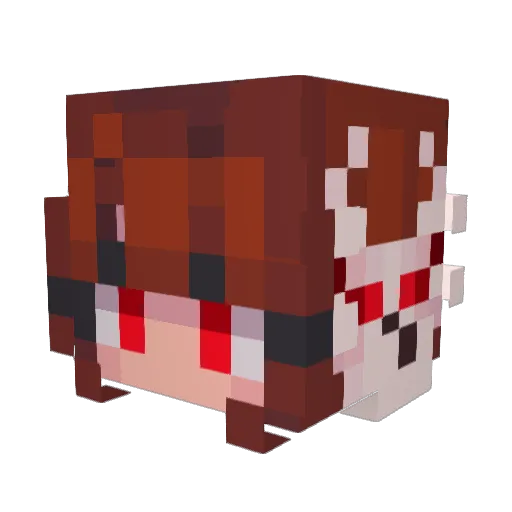 DaLoneBiscuit Minecraft avatar head, 3D render