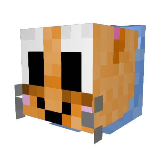 DaLoserChamp Minecraft avatar head, 3D render
