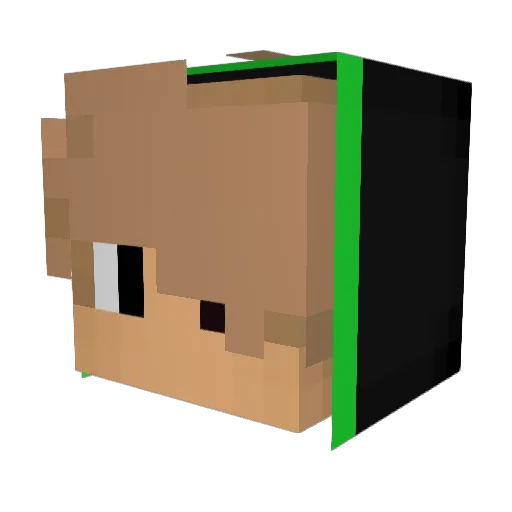 DaMaGe_TR Minecraft avatar head, 3D render