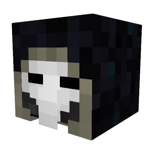 DaMagicPlatypus Minecraft avatar head, 3D render