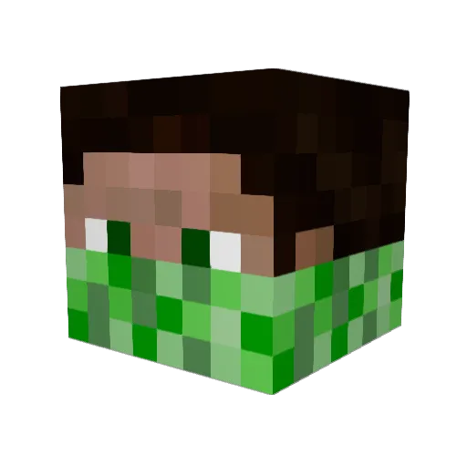 DaMan43 Minecraft avatar head, 3D render