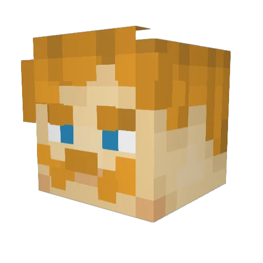 DaMarcusCousins_ Minecraft avatar head, 3D render