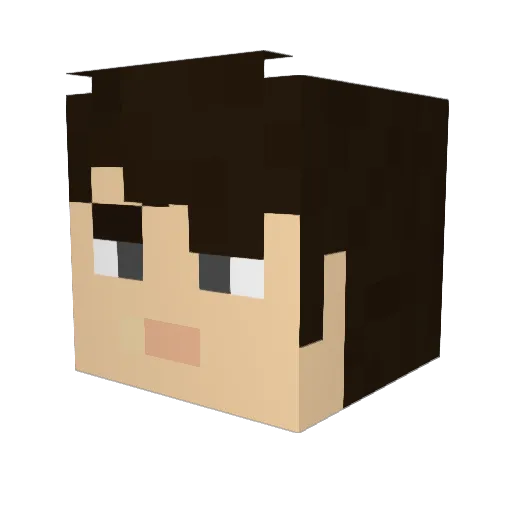 DaMaster0137 Minecraft avatar head, 3D render