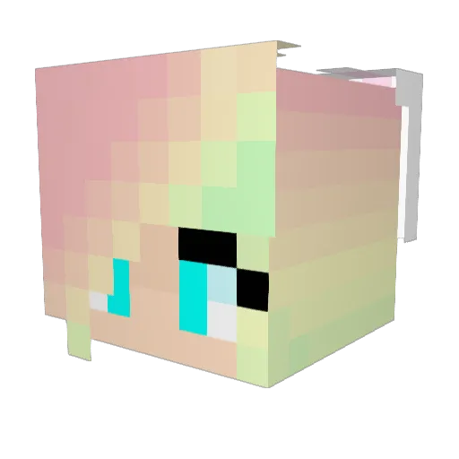 DaMeerkatLucy Minecraft avatar head, 3D render