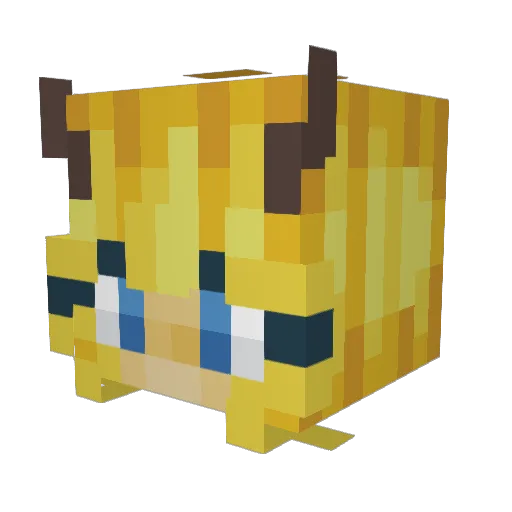 DaMiz6969 Minecraft avatar head, 3D render