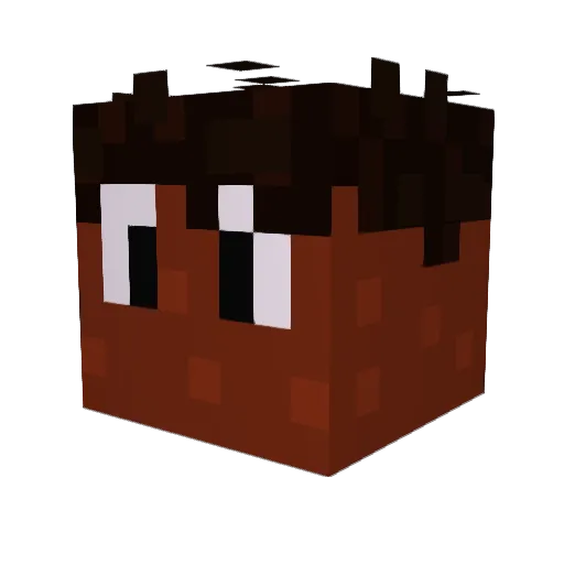 DaNIeL1212DJ Minecraft avatar head, 3D render