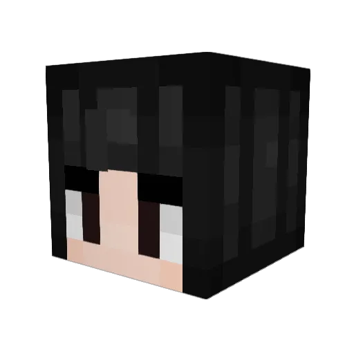 DaNN27 Minecraft avatar head, 3D render