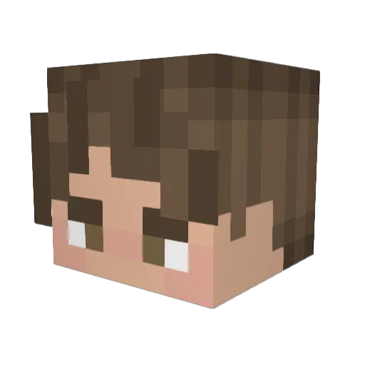 DaNabz Minecraft avatar head, 3D render