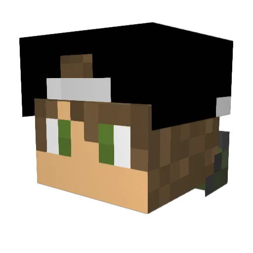 DaNg3R_ Minecraft avatar head, 3D render
