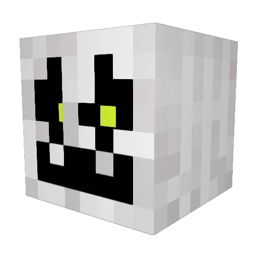 DaNiRc Minecraft avatar head, 3D render