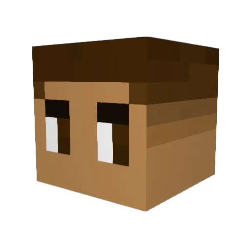 DaNson911 Minecraft avatar head, 3D render