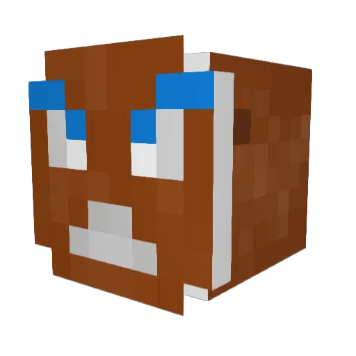 DaNyZ4 Minecraft avatar head, 3D render