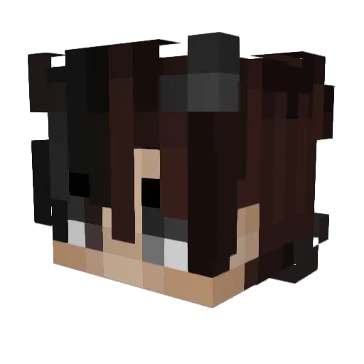 DaNy_o1 Minecraft avatar head, 3D render