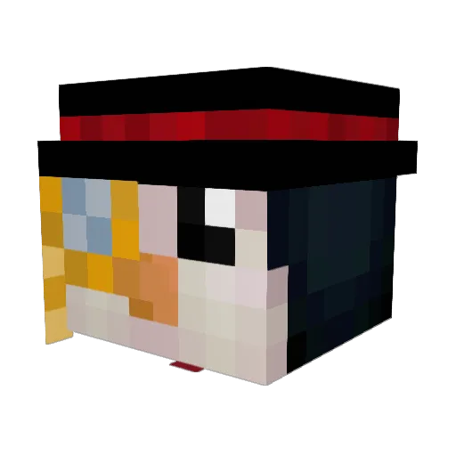 DaPenguinMasteh Minecraft avatar head, 3D render