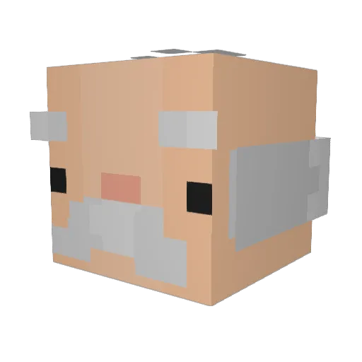 DaPookie Minecraft avatar head, 3D render