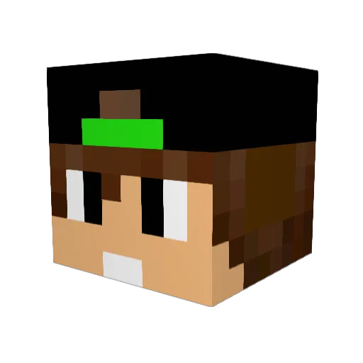 DaRealNinja Minecraft avatar head, 3D render