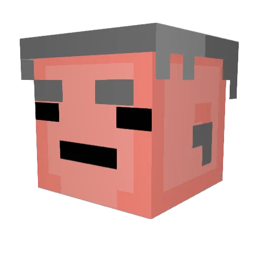 DaRealPandaFTW Minecraft avatar head, 3D render