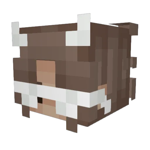 DaRicex Minecraft avatar head, 3D render