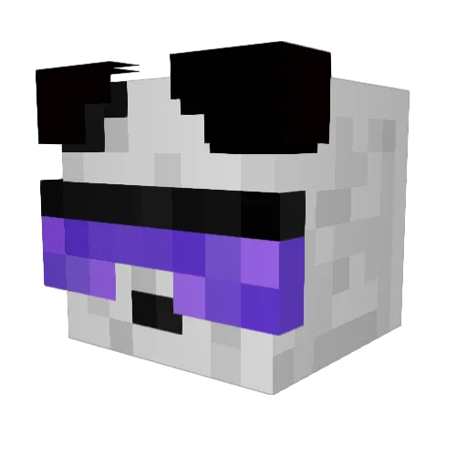 DaRoastedPanda Minecraft avatar head, 3D render