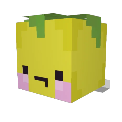 DaSaltyL3mon Minecraft avatar head, 3D render