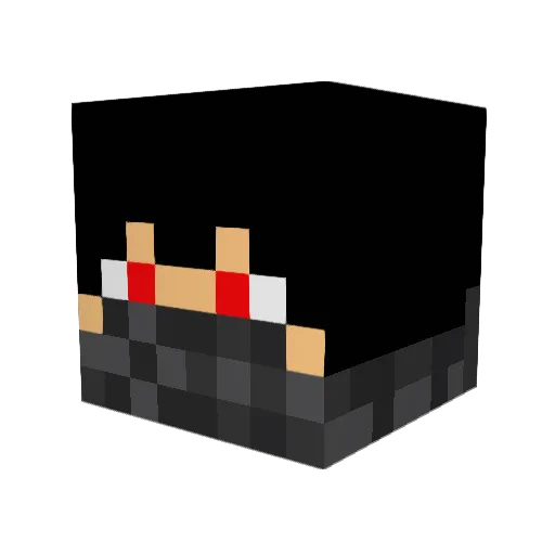 DaShadowzz Minecraft avatar head, 3D render