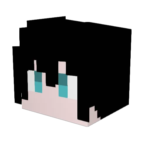 DaSuAVA Minecraft avatar head, 3D render