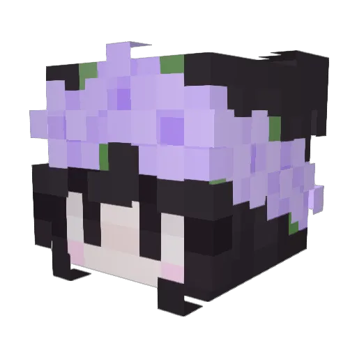 Da_Arsonator Minecraft avatar head, 3D render