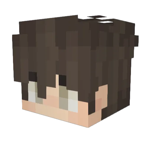 Da_BayerYT Minecraft avatar head, 3D render