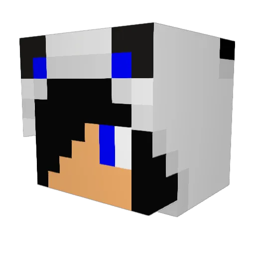 Da_Creeper2004 Minecraft avatar head, 3D render