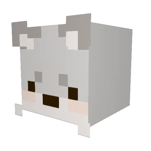 Da_Floofy Minecraft avatar head, 3D render