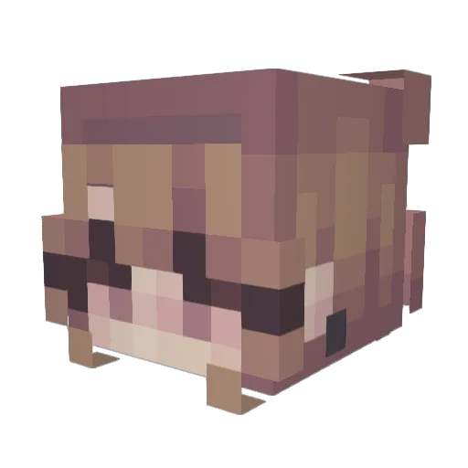 Da_Jezus Minecraft avatar head, 3D render